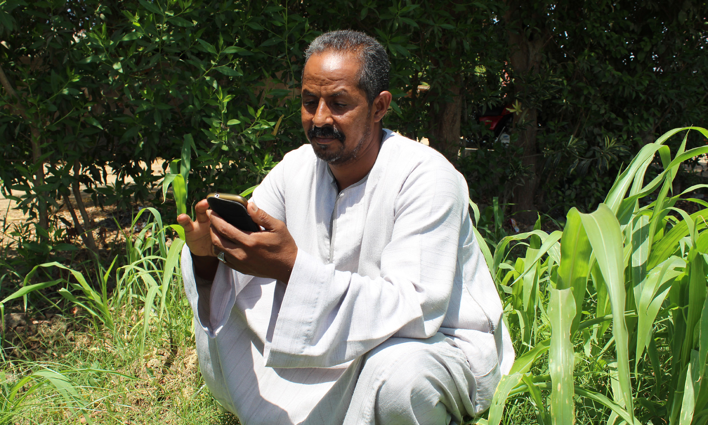 Egyptian farmer using his mobile phone