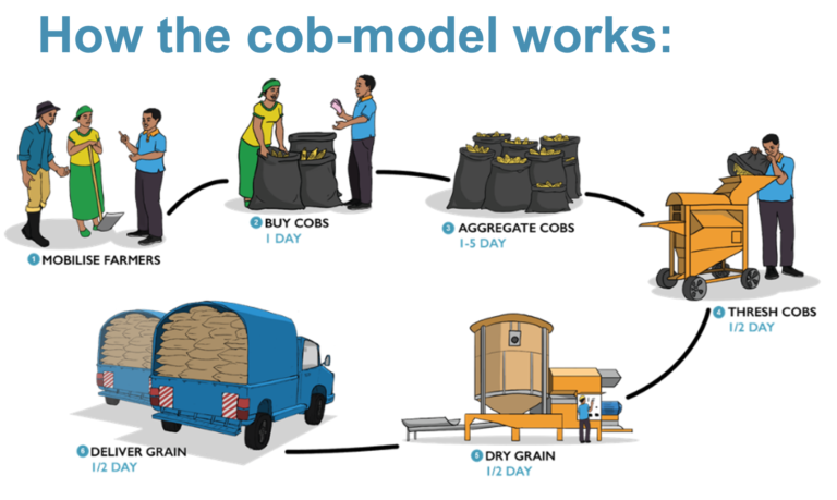 Diagram - How the cob-model works