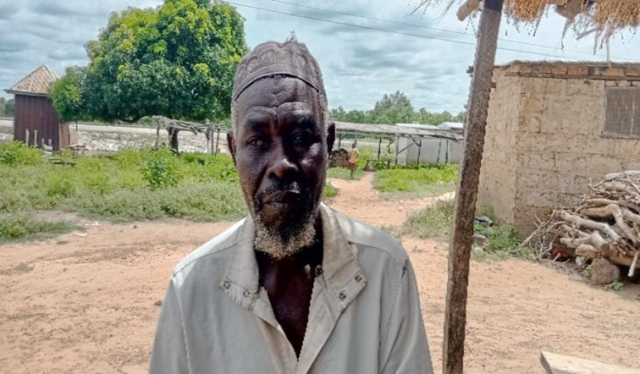 Cashew Cultivation An Opportunity To Diversify Agricultural Production Cnfa